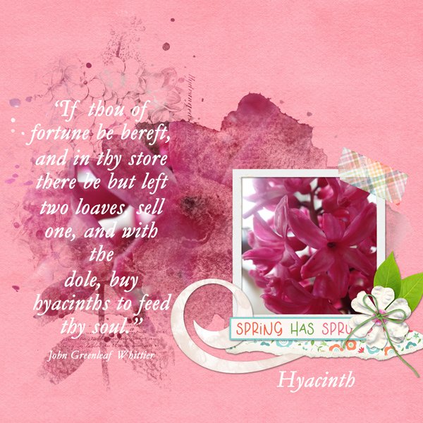 Hyacinth