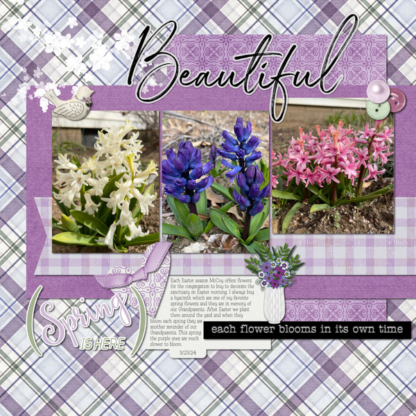 Hyacinths 3-23-24