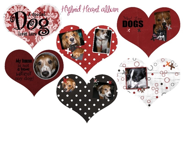 Hybrid heart album