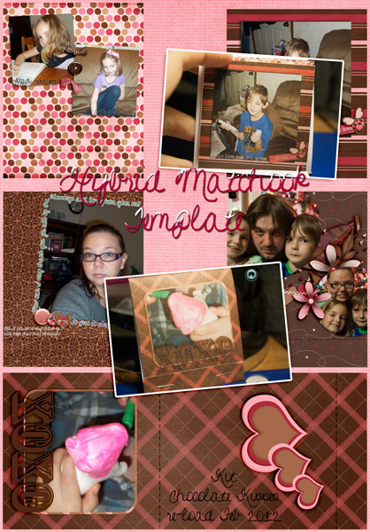 Hybrid Matchbook Album