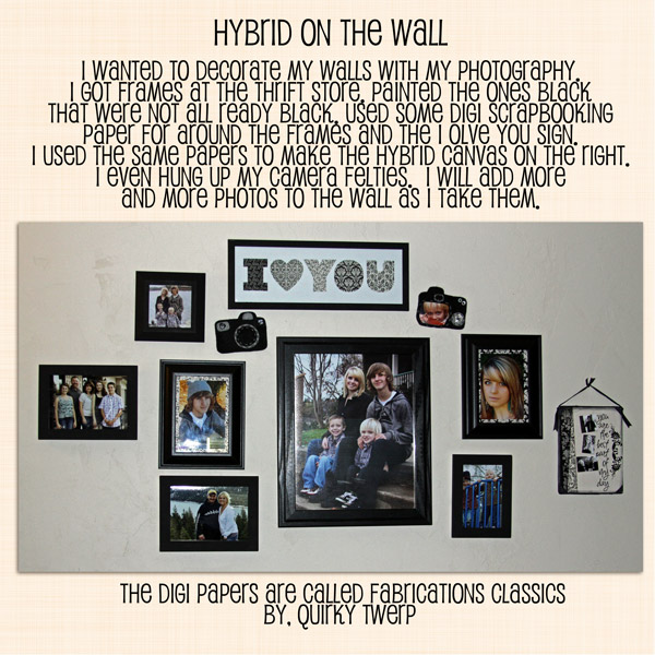 Hybrid on the wall