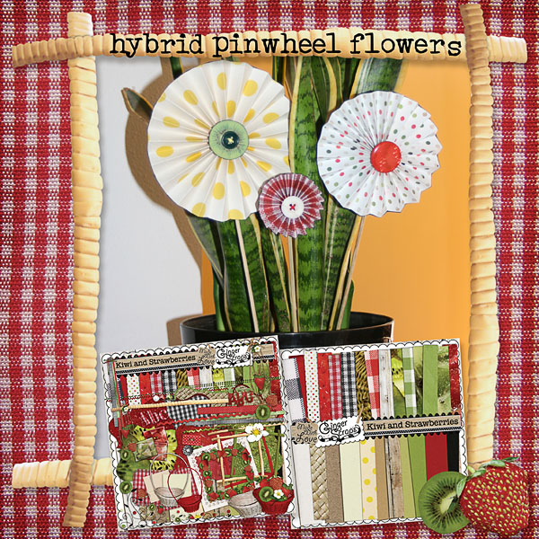 hybrid pinwheel flowers
