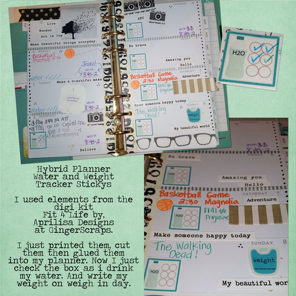 Hybrid Planner Stickys