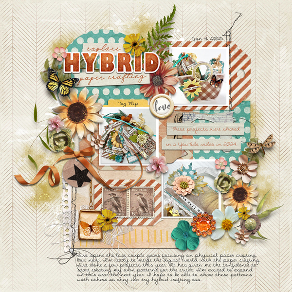 Hybrid Projects
