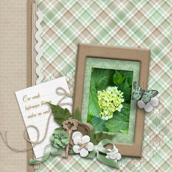 Hydrangea Bloom