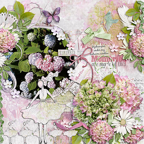 Hydrangea Memories