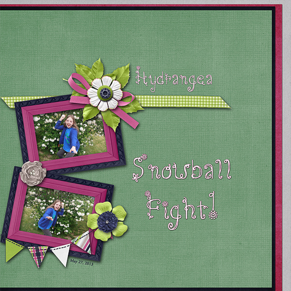 Hydrangea Snowball Fight