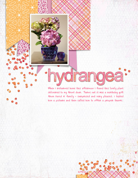 Hydrangea