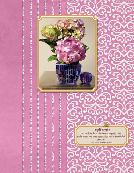 Hydrangea