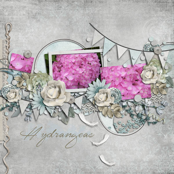 Hydrangeas