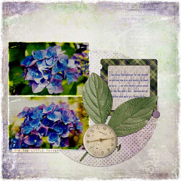 Hydrangeas