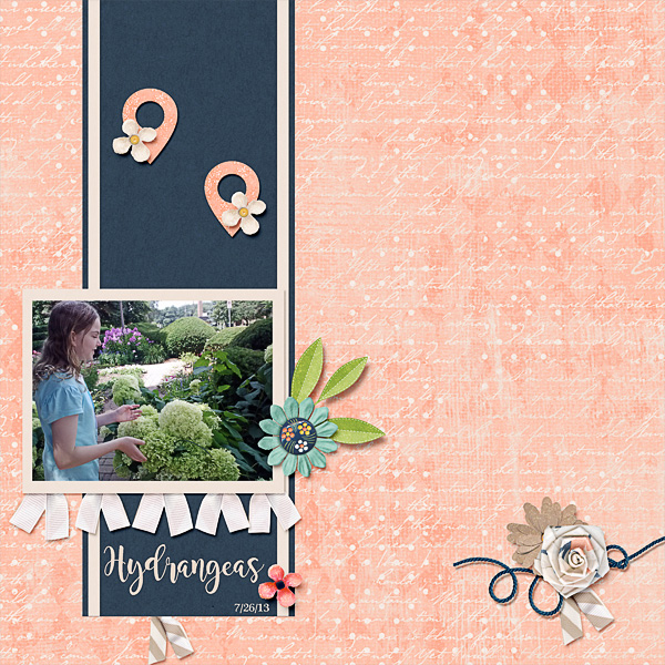 Hydrangeas