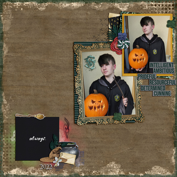 I am a Slytherin