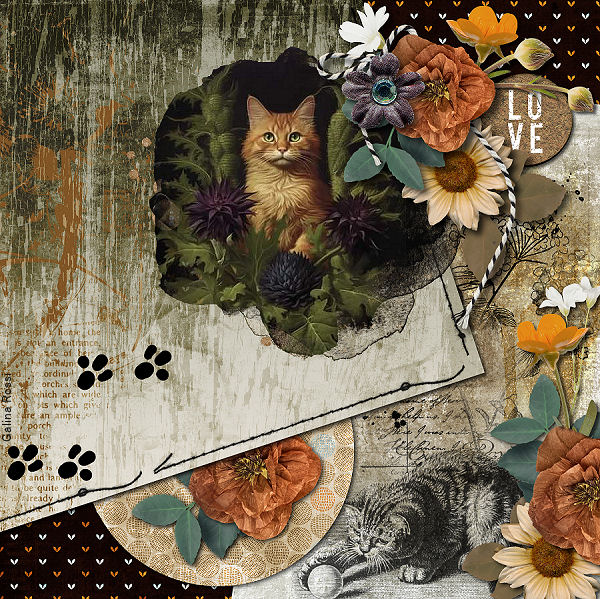 I Am Fierce by CarolW