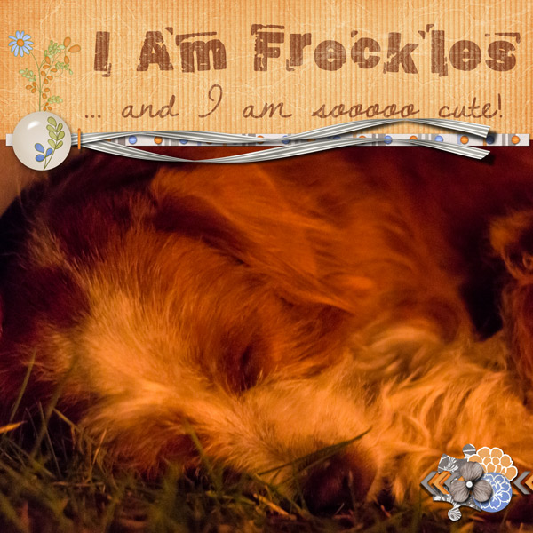 I am Freckles