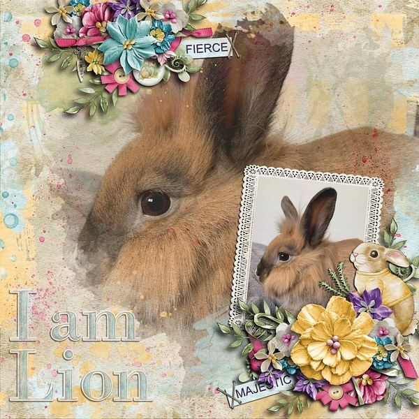 I am Lion