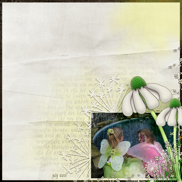 i believe in fairies
