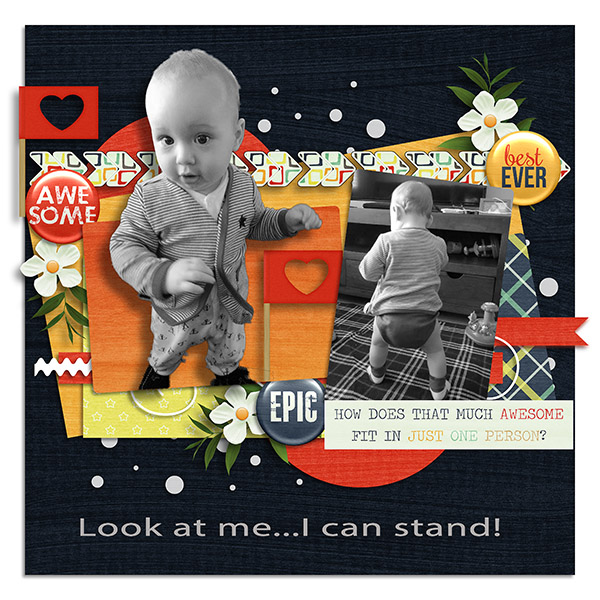 I Can Stand