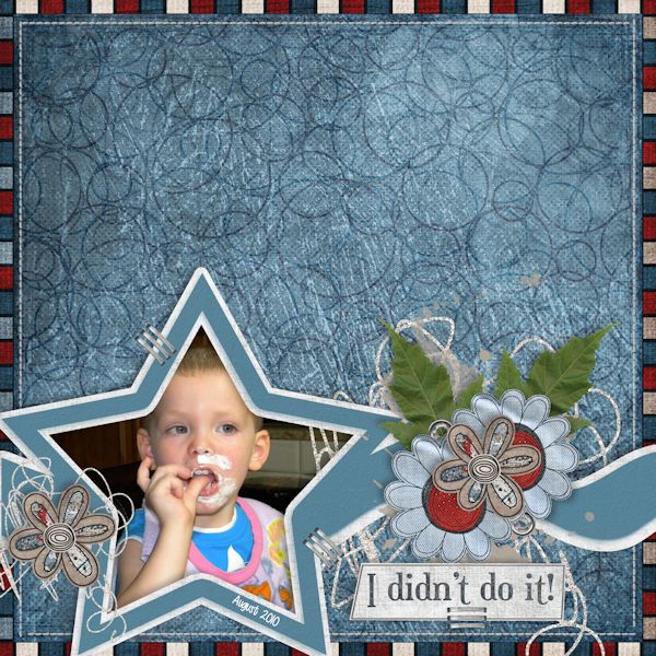 I Didn't Do It
