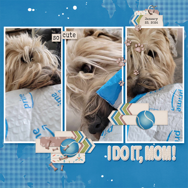 I Do It, Mom!
