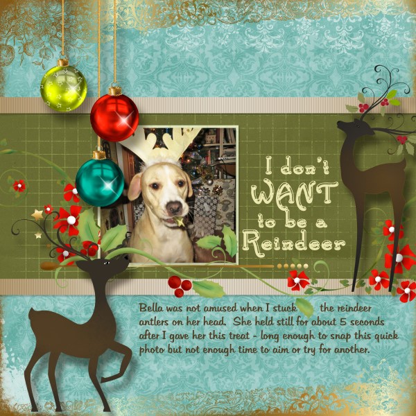 I Don't Want to be a Reindeer