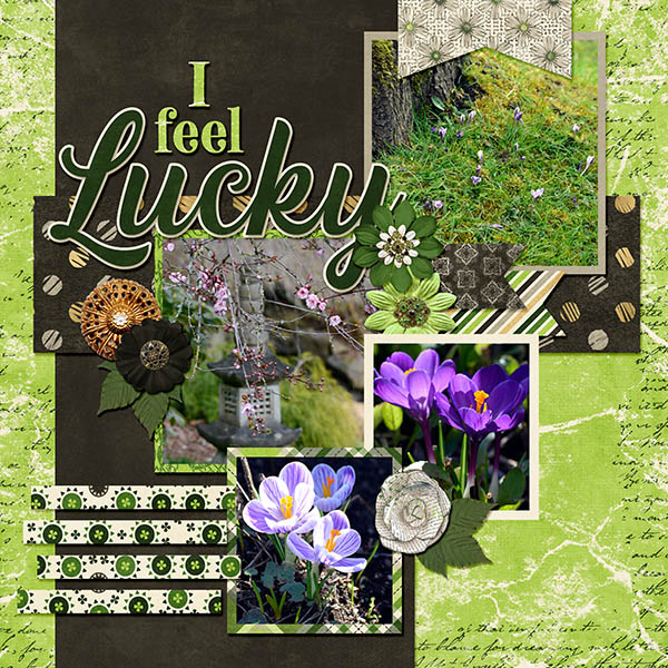 I feel Lucky - Spring is Coming