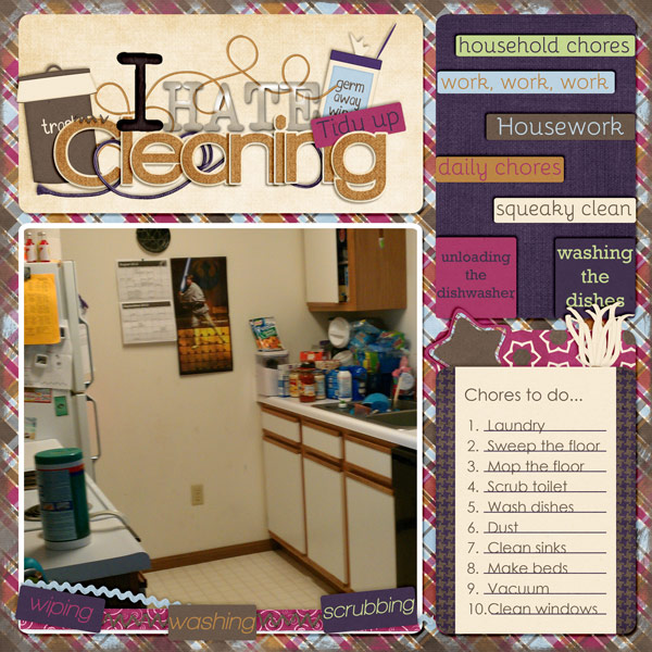 I HATE CLEANING