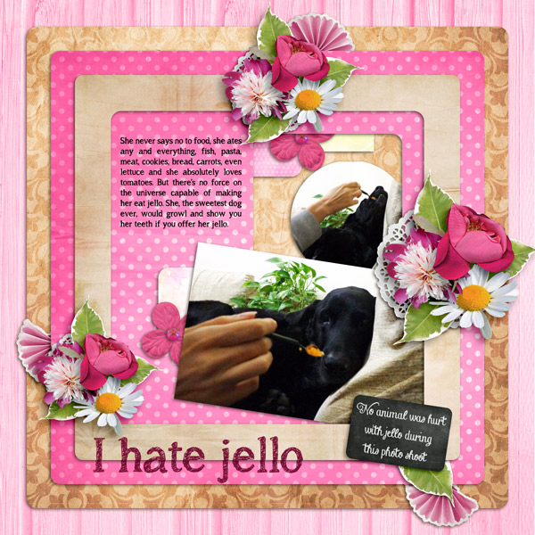 I hate jello