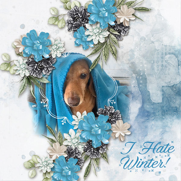 I Hate Winter
