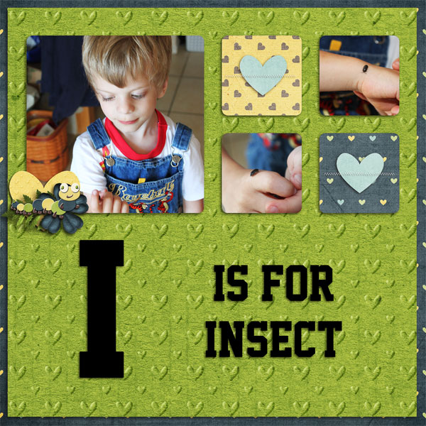 I is for Insect