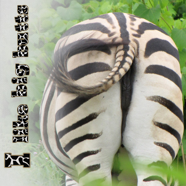 I Like Bit Butts
