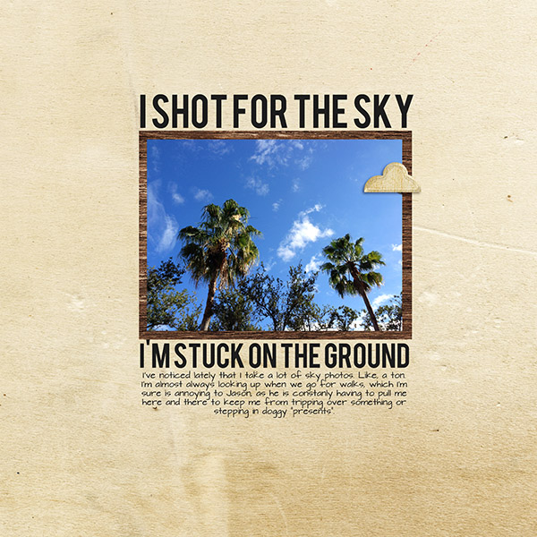 I Look to the Sky