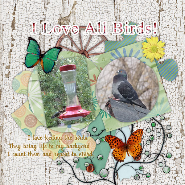 I Love All Birds