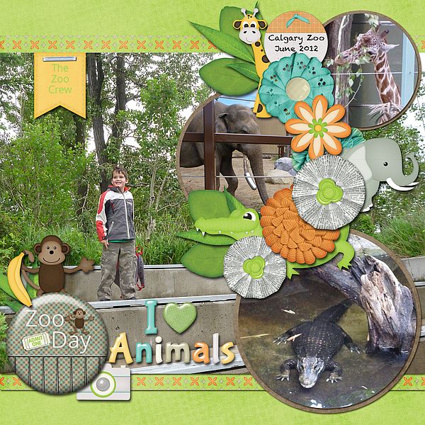I Love Animals