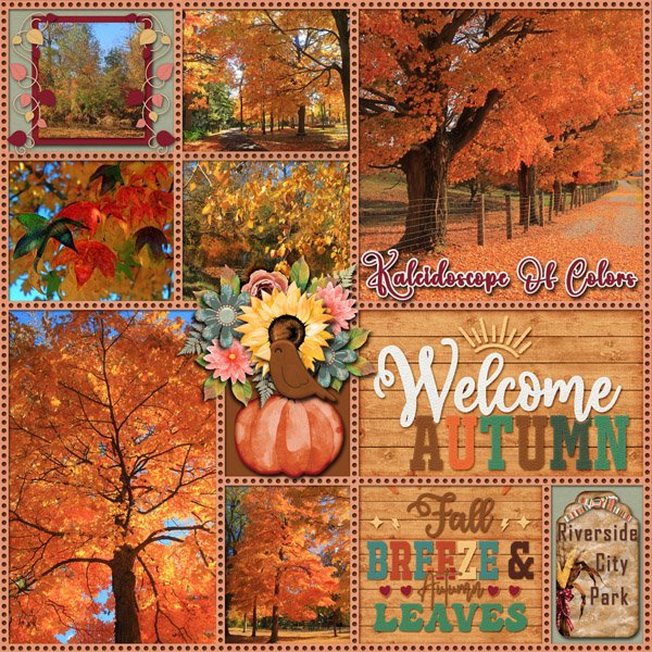 I Love Autumn Colors