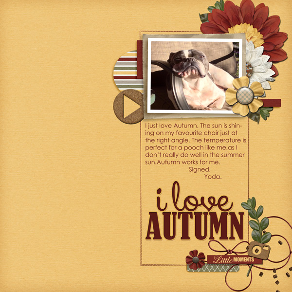 I LOVE AUTUMN