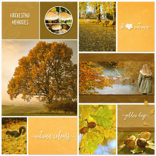 I love Autumn