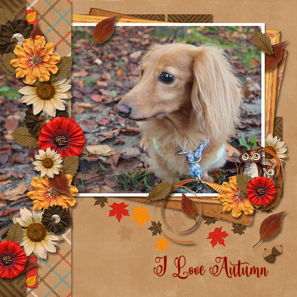 I Love Autumn