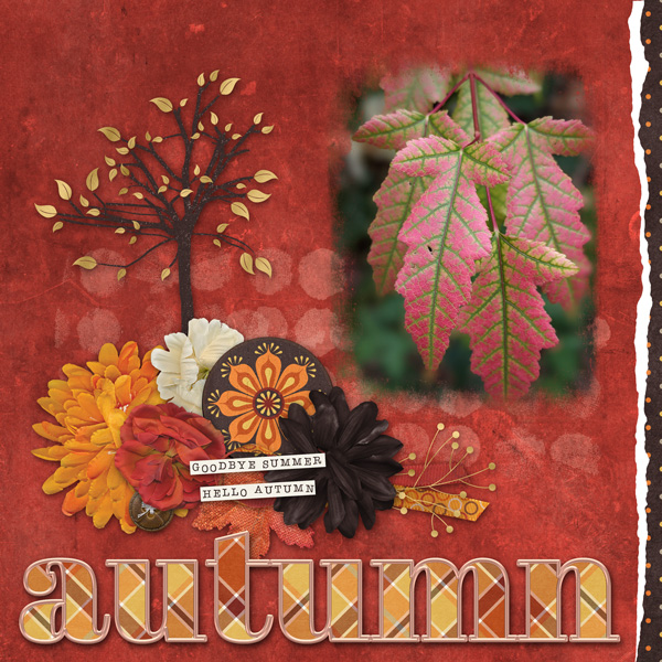 I love Autumn