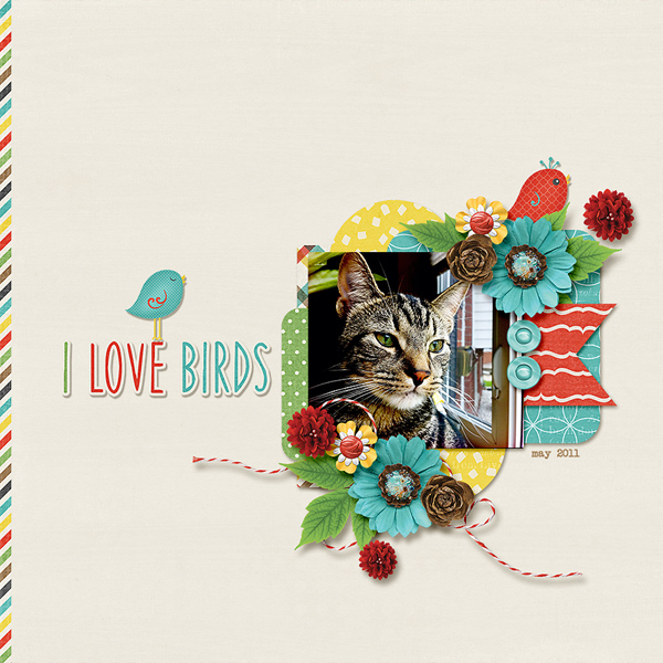 i love birds