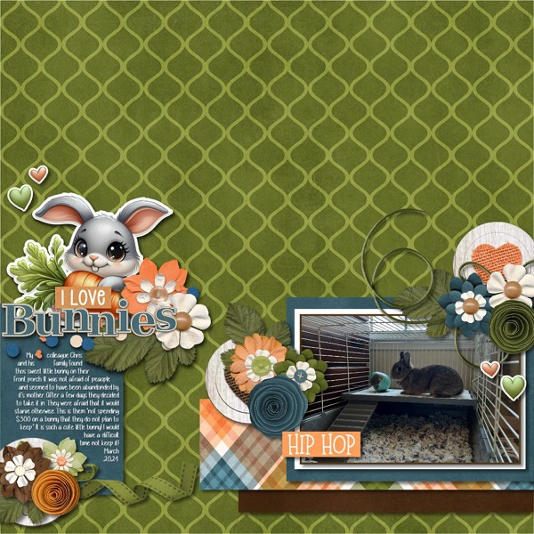 I Love Bunnies!