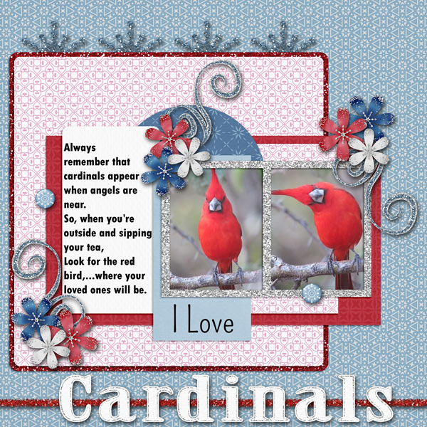 I Love Cardinals