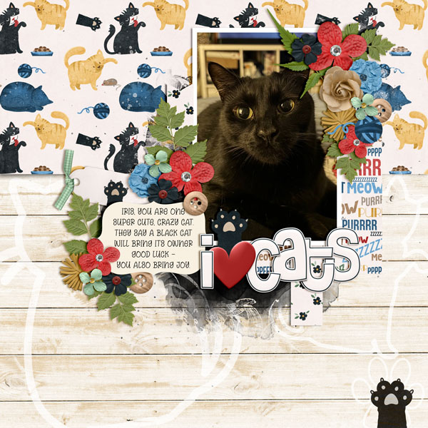 I Love Cats