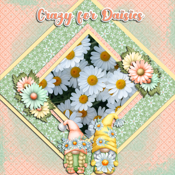 I Love Daisies and Gnomes