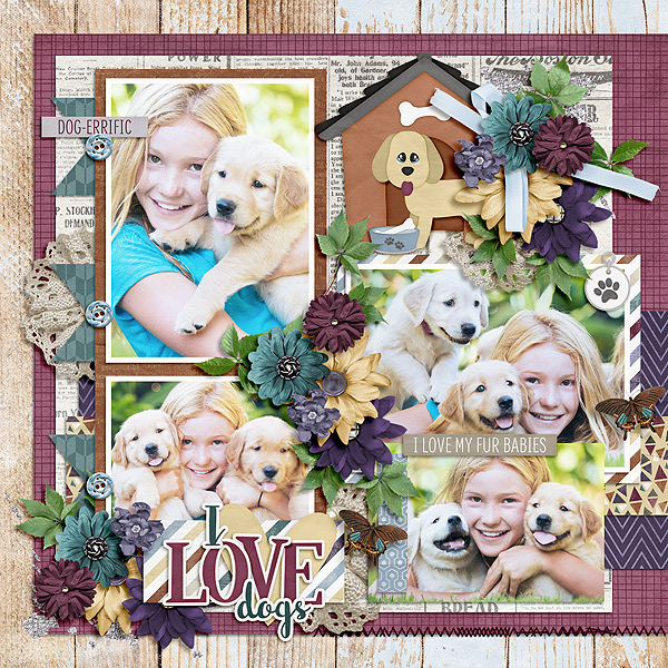 I Love Dogs
