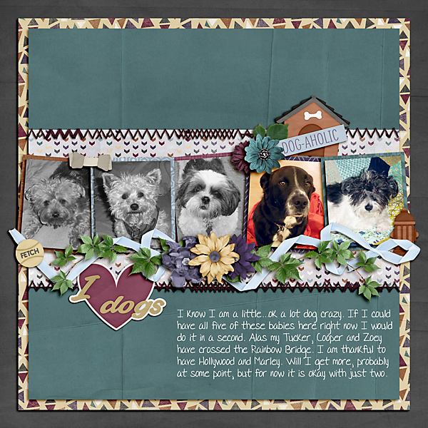I Love Dogs