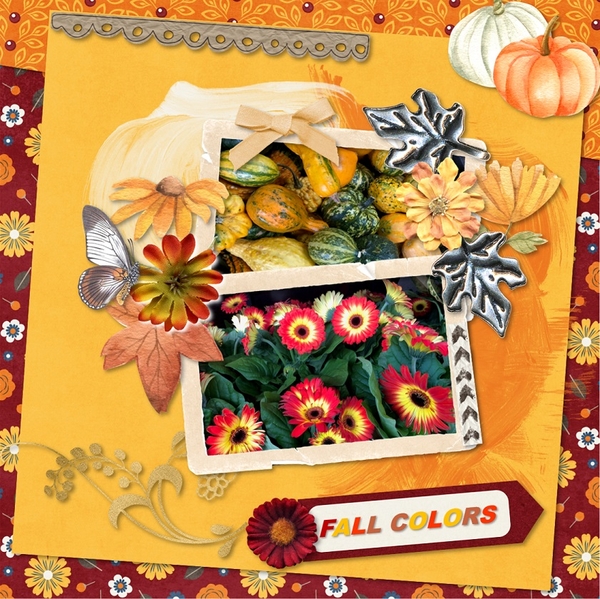 I Love Fall Colors