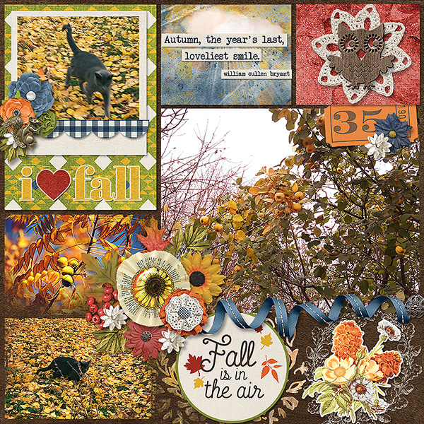 I Love Fall