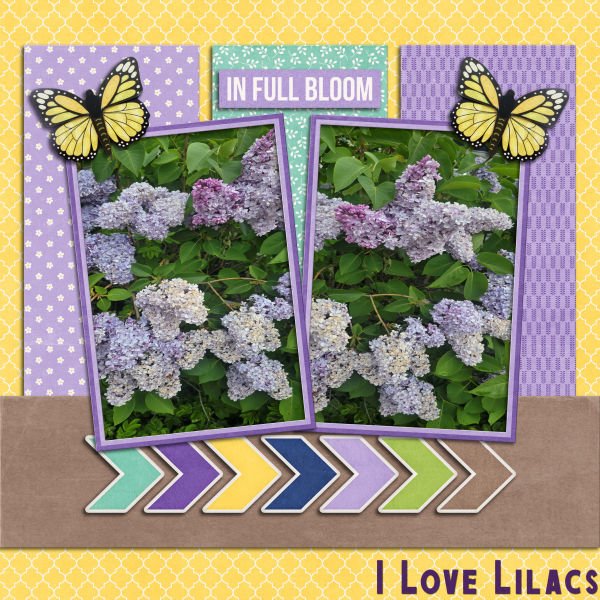 I Love Lilacs