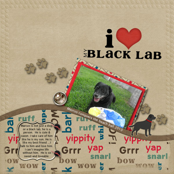 I love my black lab